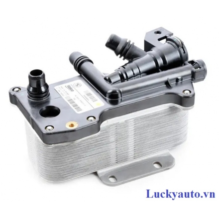 Két làm mát (sinh hàn) dầu số xe BMW 5 series F07, F10, F11_ 17217638582